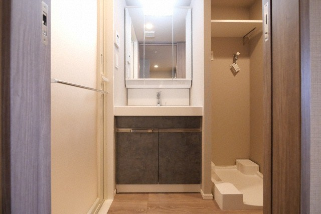 RJRプレシア南堀江の洗面所