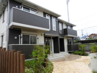 グラウクスCの画像