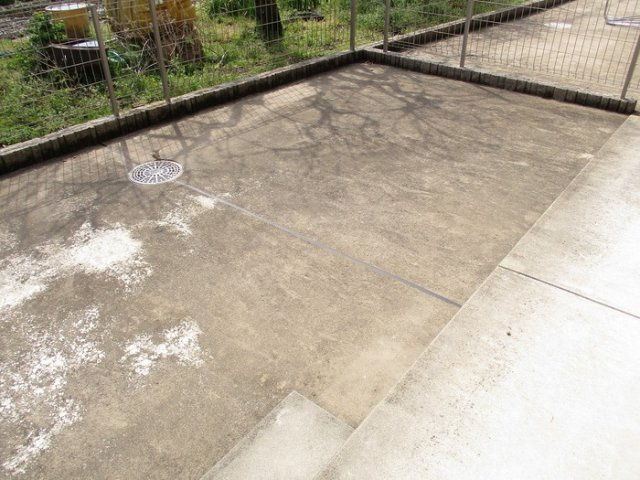 メゾンクレールＤの庭