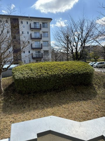 の-の画像
