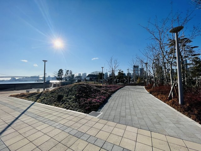晴海フラッグの周辺|晴海ふ頭公園
