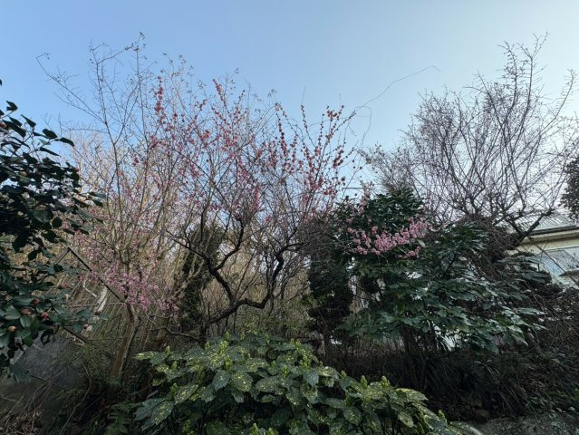 【展望】 | 入間市仏子戸建