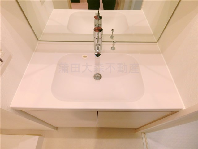 スタイリオ池上WeLLの洗面所
