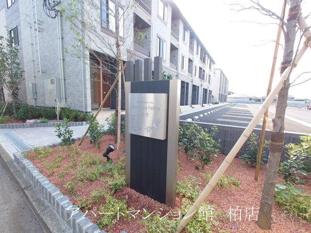 ココ　ラ　フェリーチェAの周辺