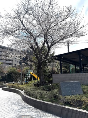 【外観】 | エンゼルハイムパークステージ参番館