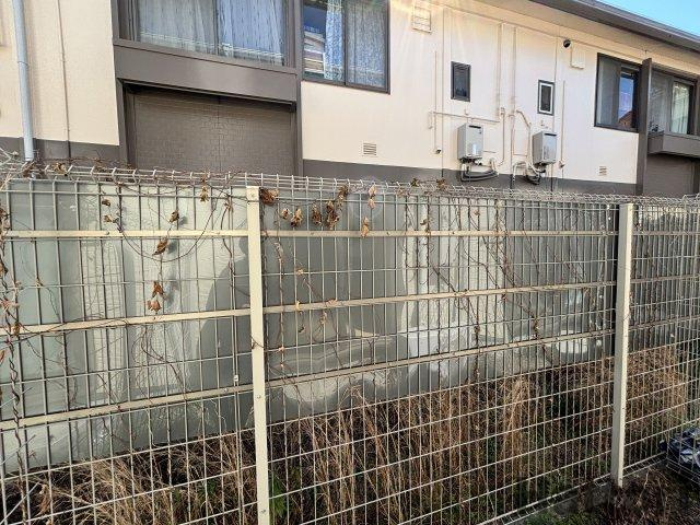 Alpha Stage APMの展望