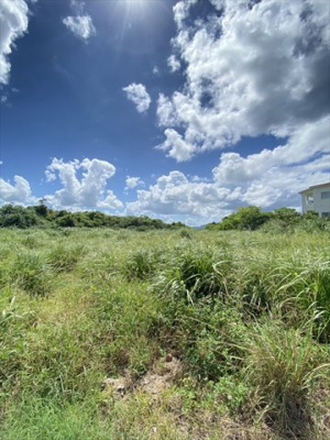  | 【売地】今帰仁村古宇利