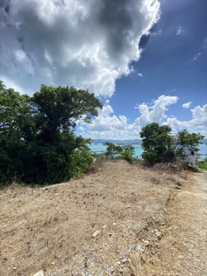  | 【売地】今帰仁村古宇利