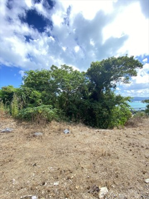  | 【売地】今帰仁村古宇利