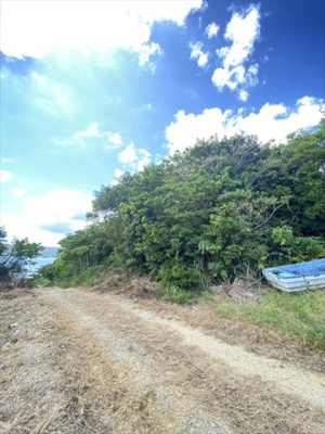  | 【売地】今帰仁村古宇利