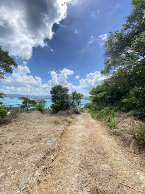  | 【売地】今帰仁村古宇利