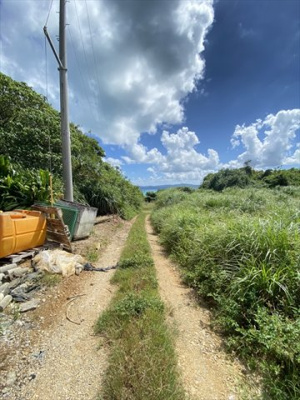  | 【売地】今帰仁村古宇利