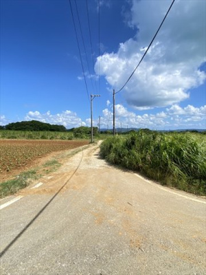  | 【売地】今帰仁村古宇利