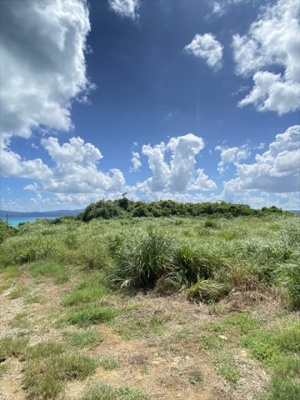 【外観】 | 【売地】今帰仁村古宇利