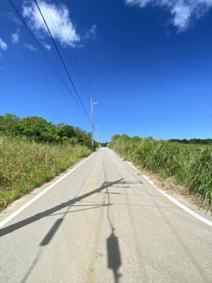  | 【売地】今帰仁村古宇利