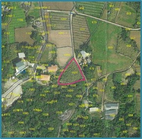  | 【売地】今帰仁村古宇利