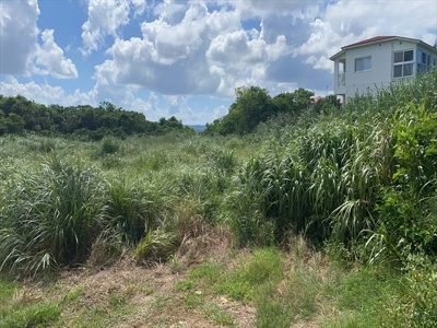  | 【売地】今帰仁村古宇利