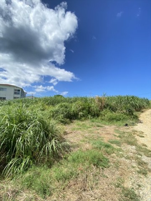  | 【売地】今帰仁村古宇利