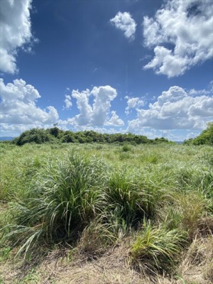  | 【売地】今帰仁村古宇利
