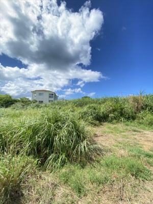  | 【売地】今帰仁村古宇利