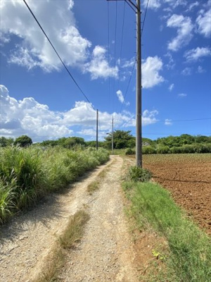  | 【売地】今帰仁村古宇利
