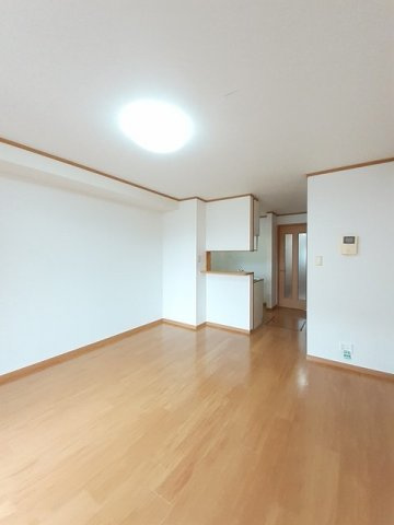 フラン　ブリッサ　Ａのその他