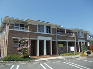 マナ　サフラワーの画像