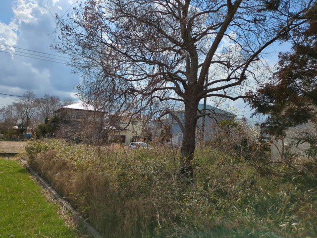 【外観】 | 大網白里市南横川　土地