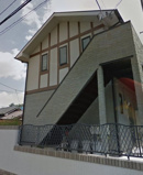 テラスコウバイの画像