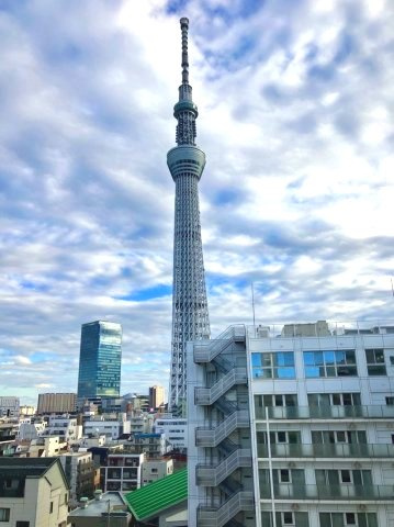 朝日言問マンション　9階　角　部屋　リ　ノベーション済　家具付の展望