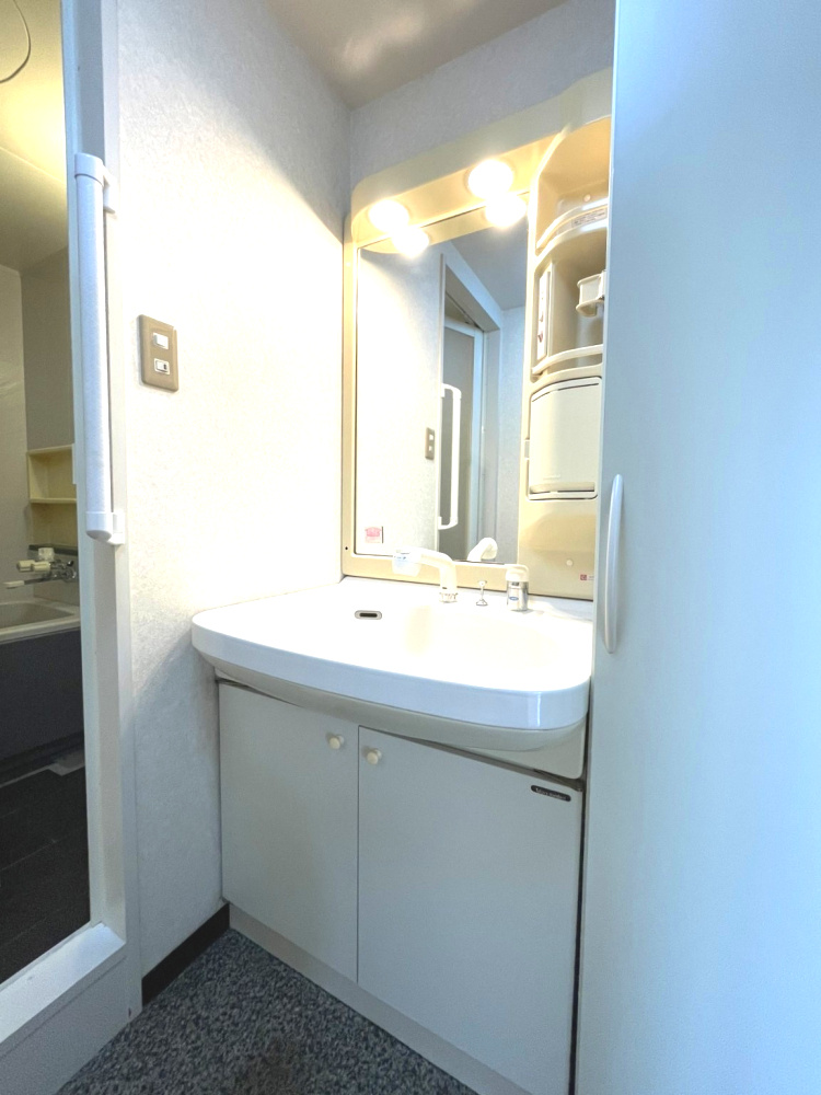 ダイアパレスロワイアル栗林公園の独立洗面台