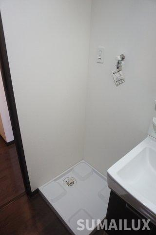 熊本市中央区新大江１丁目の賃貸マンションの洗面所