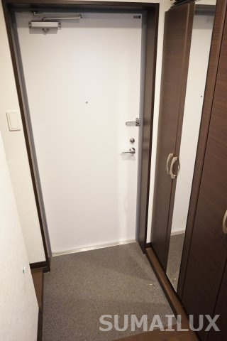 熊本市中央区新大江１丁目の賃貸マンションの玄関