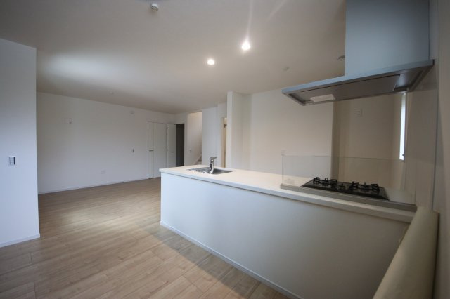 【キッチン】 | 《仲介手数料無料》浦和区瀬ヶ崎５丁目34-17(全1戸)新築一戸建てケイアイグレース | 撮影日 2025年6月27日 15:30 晴れ