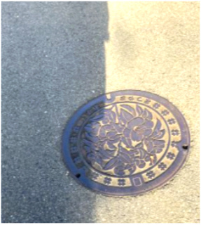 紅葉町　土地のその他