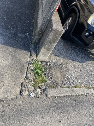 紅葉町　土地の外観