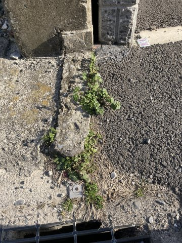 紅葉町　土地の外観