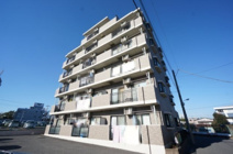 プリマヴェーラの画像