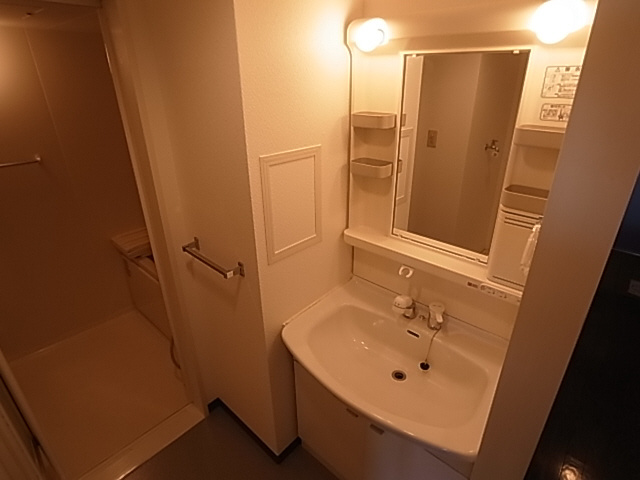 神戸市兵庫区駅南通２丁目の賃貸マンションの洗面所|シャンプードレッサー