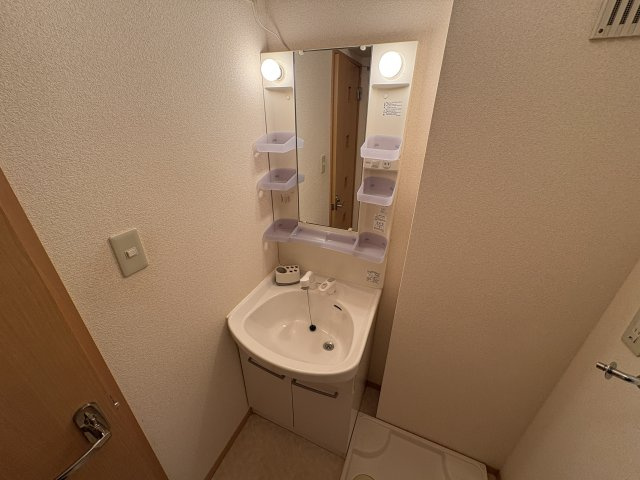 ラフィーネ林Ⅱの洗面所