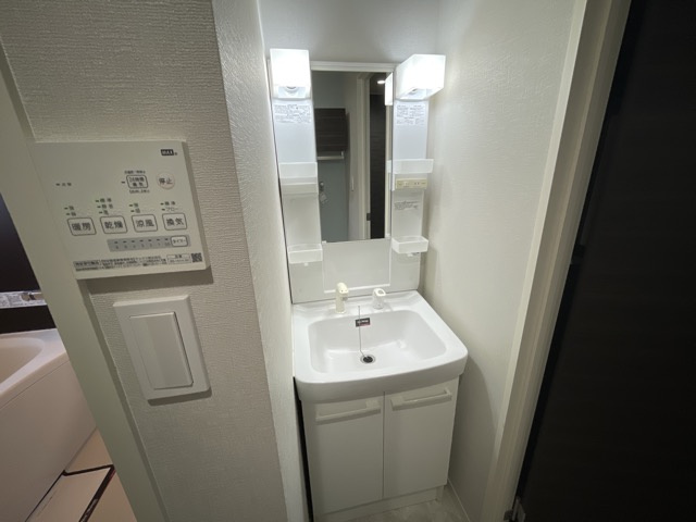 メゾンさつきの洗面所