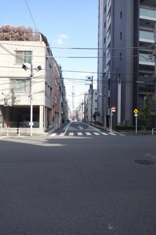 ウィステリアエス上野の周辺