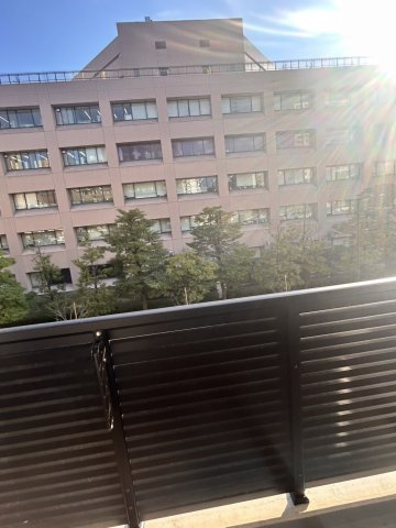 ブリックレジデンス築地明石町の展望