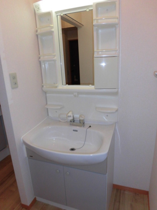 セジュール赤坂の洗面所