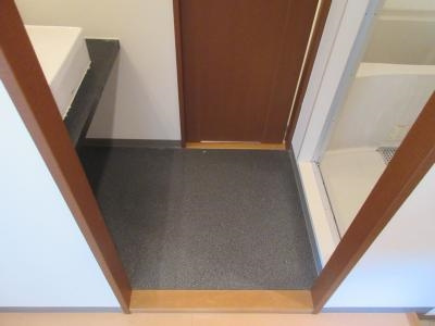 CASA GRAN洛西（カーサグラン洛西）の内装|脱衣所