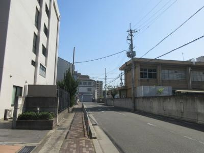 CASA GRAN洛西（カーサグラン洛西）の周辺|前面道路