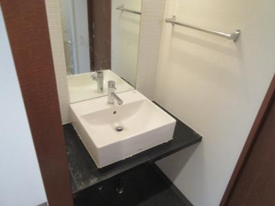 CASA GRAN洛西（カーサグラン洛西）の洗面所