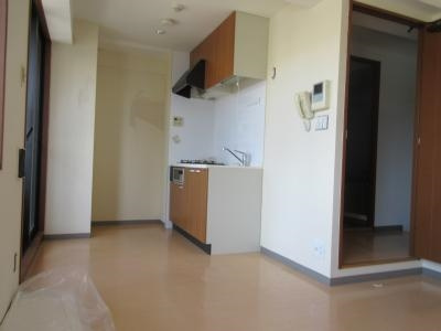 CASA GRAN洛西（カーサグラン洛西）の内装|洋室