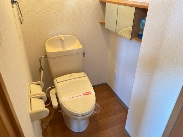 ルミエール　シャトーのトイレ|シャワー付トイレ