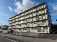 ルミエールAIOIの画像